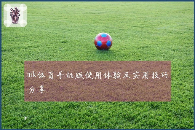 mk体育手机版使用体验及实用技巧分享